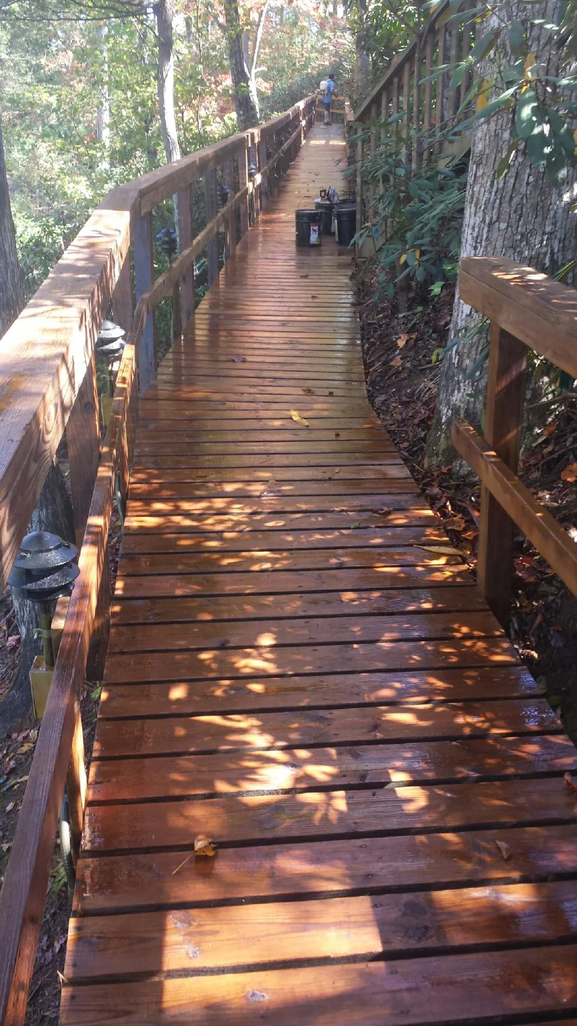 Freshly stained wood walkway winding through the woods in Boones Mill